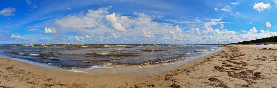 全景图 海草 海岸 冲浪 波浪 海滩 波罗的海 风景 海洋