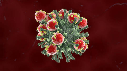 疾病 病毒 症状 病菌 科学 流感 新型冠状病毒 生物学