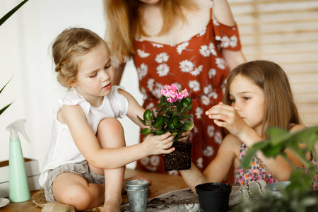 mom and daughters transplanting indoor flowers 