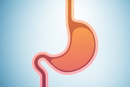 医学概念中的胃插图图片