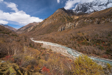 自然 阿尔卑斯山 范围 秋天 天空 松木 小山 纹理 美丽的