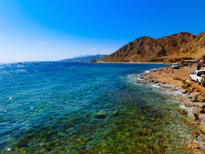 海的 达哈布 冒险 外部 假期 网站 环境 水下 海洋 水肺