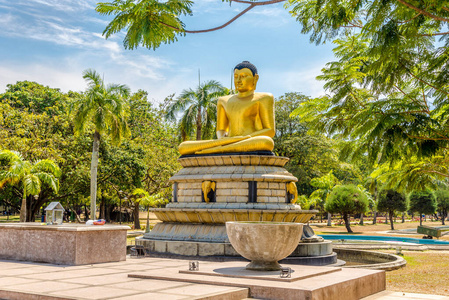 佛陀 旅行 科伦坡 公园 城市 宗教 建筑学 旅游业 建筑