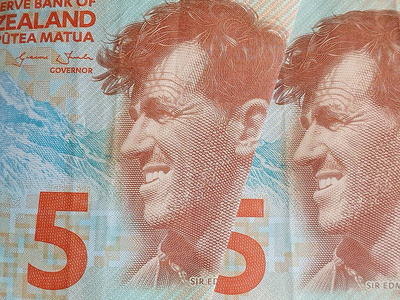 现金 利润 商业 笔记 生长 货币 新西兰 美元 新的 贷款