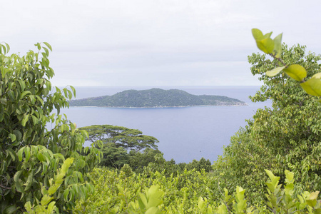 海岸 自然 夏天 海滩 塞舌尔 美丽的 全景图 风景 海岸线