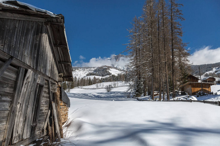 场景 假期 滑雪板 欧洲 运动 森林 旅行 全景图 自然