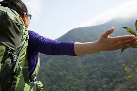 假期 享受 女人 庆祝 灵感 森林 闲暇 紫色 旅行者 获胜