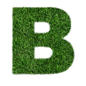 三维 夏天 自然 生态学 生长 植物 纹理 性格 字体 字母表
