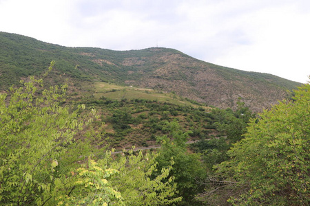 森林 丘陵 旅行 夏天 岩石 天空 全景 小山 风景 自然