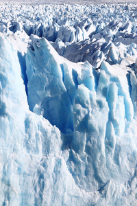 自然 国家的 南极洲 克鲁兹 风景 埃尔 安第斯山脉 巴塔哥尼亚