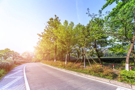 树叶 花的 地标 花园 建设 拱门 放松 开花 玫瑰 公园