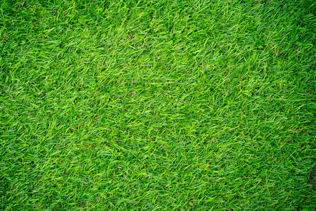 纹理 夏天 特写镜头 足球 高尔夫球运动 生长 花园 空的