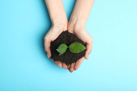 种植园 生长 地球 植物 农业 成长 生态学 健康 园艺