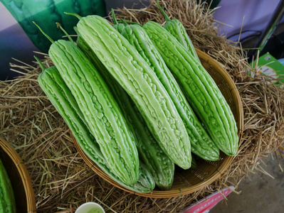 营养 苦瓜 苦的 饮食 植物 亚洲 水果 素食主义者 收集