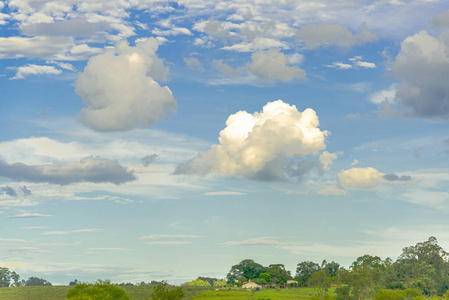 自然 日落 环境 森林 太阳 领域 生长 天空 收获 风景