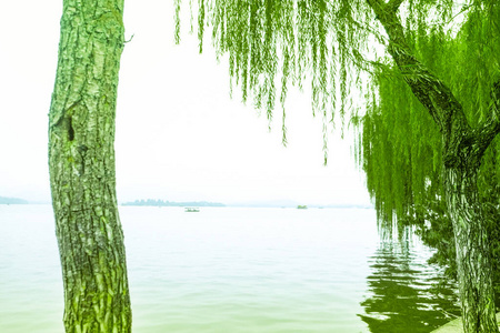 全景图 单色 美丽的 夏天 怀俄明州 欧洲 环境 假期 季节