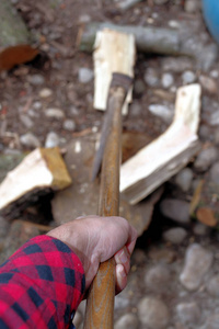 工具 斧头 木材 权力 木柴 植物 男人 危险 服务 花园