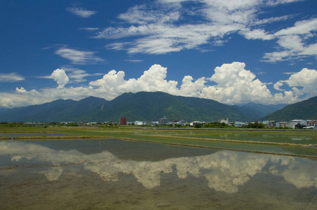 环境 农业 台湾 风景 夏天 天空 生态学 旅行 自然 季节