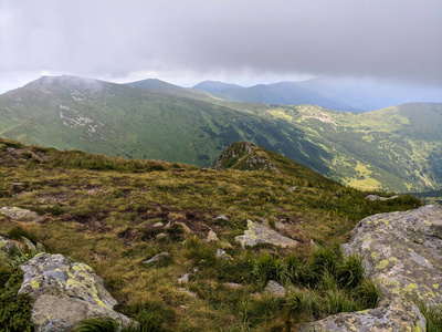 欧洲 阿尔卑斯山 天气 旅行 风景 云杉 小山 公园 美丽的