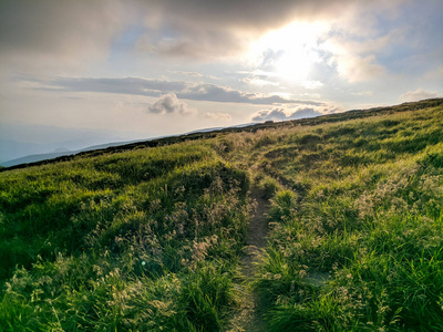 旅行 自然 领域 花的 场景 全景图 阿尔卑斯山 日落 岩石