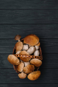 木材 蔬菜 蘑菇 框架 帽子 牛肝菌 落下 季节 环境 特写镜头