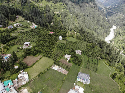 夏天 自然 乡村 目的地 农场 公园 植物 天气 森林 天堂