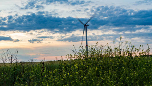 农场 权力 资源 能量 气候 行业 发电机 新的 环境 生态