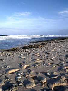 假期 旅行 海滩 海洋 海岸线 岩石 波动 腐肉 日落 海湾