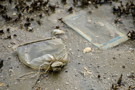 塑料 瓶子 灾难 海岸线 回收 污染 倾倒 垃圾 环境 自然