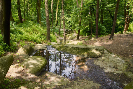 风景 岩石 夏天 美丽的 春天 旅行 公园 自然 木材 森林