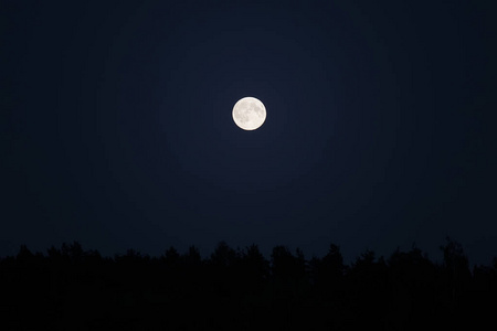 现象 满月 月光 月亮 轨道 公园 超级月亮 森林 天文学