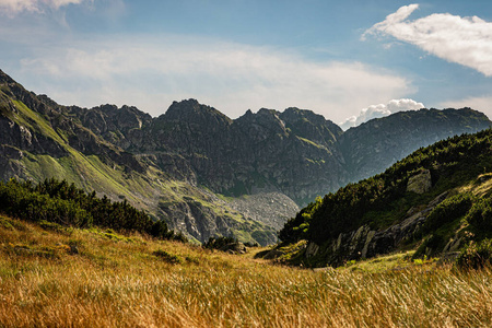 风景 草地 天空 夏天 旅行 美丽的 小山 自然 环境 山谷