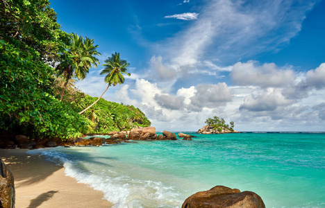 美丽的 海岸线 棕榈 岩石 风景 目的地 塞舌尔 海滩 假期