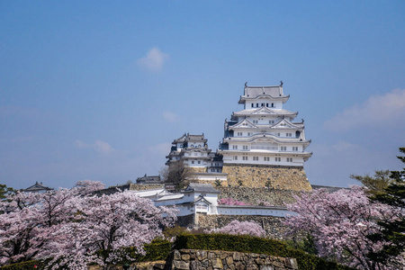 建筑 圣地 冒险 花的 放松 签名 旅游业 开花 宫殿 艺术