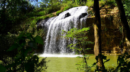 风景 自然 瀑布 森林 小溪 流动的 美丽的 环境 岩石