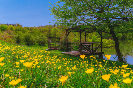 春天 旅游业 夏天 欧洲 房子 公园 长凳 美丽的 假期