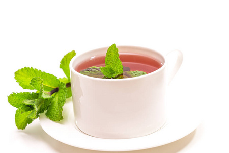 植物区系 植物 饮料 素食者 液体 茶托 打破 杯子 薄荷