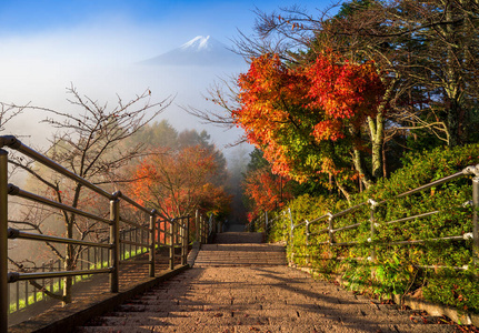 追踪 季节 薄雾 旅行 东京 树叶 早晨 圣地 美女 梯子