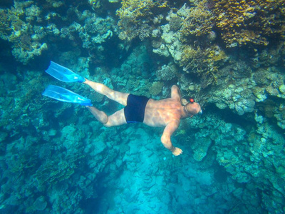自然 浮潜 运动 潜水 深的 水族馆 通气管 动物 潜水员