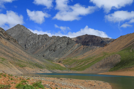 高的 自然 旅行 天空 季节 岩石 旅游业 风景 阿尔泰