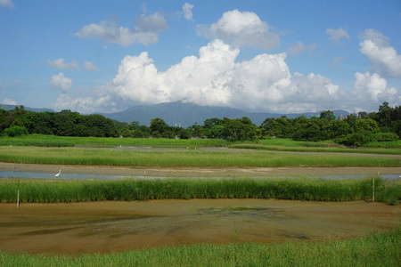 全景图 地平线 土地 自然 领域 春天 国家 风景 乡村