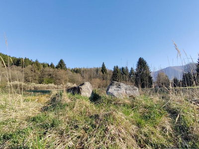 季节 领域 小山 夏天 天空 美丽的 落下 风景 九月 草地