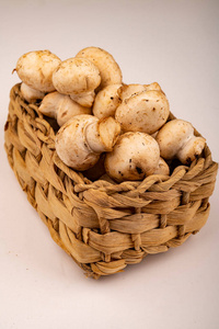 牛肝菌 偶像 安全的 素食主义者 帽子 植物 蘑菇 健康