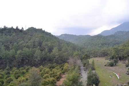 美丽的 全景 岩石 土地 草地 夏天 森林 环境 自然 场景