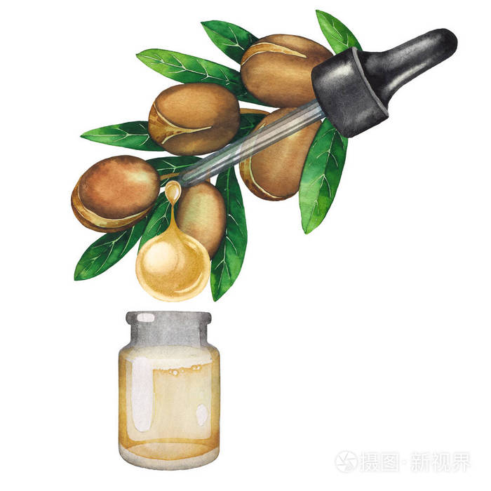 水彩油滴从阿甘植物滴入小玻璃瓶