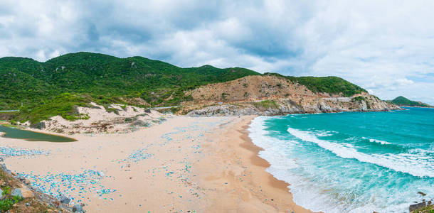 夏天 污染 假期 透明的 离开 自然 波动 越南 海洋 垃圾