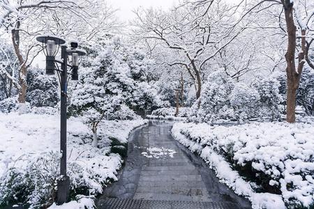 风景 天气 美丽的 瓷器 杭州 天空 建筑学 季节 森林