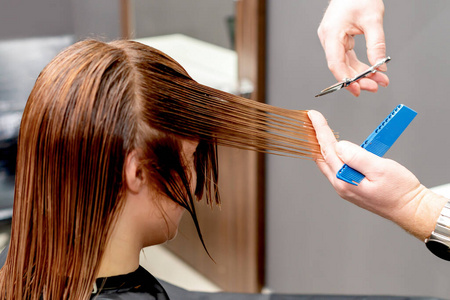 切割 职业 美发 顾客 提示 修剪 女孩 头发 照顾 工具
