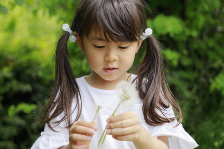 广场 微笑 女孩 幼儿园 人类 日本人 小孩 蒲公英 地面