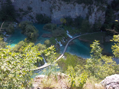 美丽的 旅游业 木材 美女 公园 风景 流动 旅行 夏天